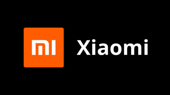 Xiaomi освоит новую для себя нишу в 2024 году