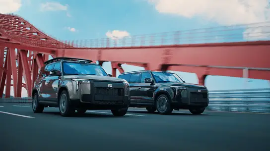 Pininfarina перешла от Polestar к Polestones