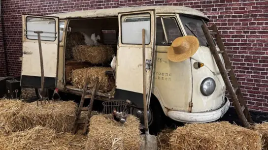 VW показал три Bulli 1956 года на Maikäfertreffen: редкие машины в честь 70-летия
