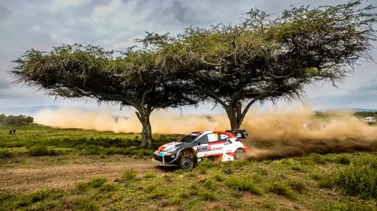 Недолго музыка играла: WRC делает «откат» до традиционных двигателей