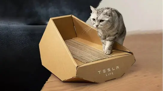 Tesla снова удивляет: кошачий Cyberhouse в стиле Cybertruck уже могут приобрести все желающие
